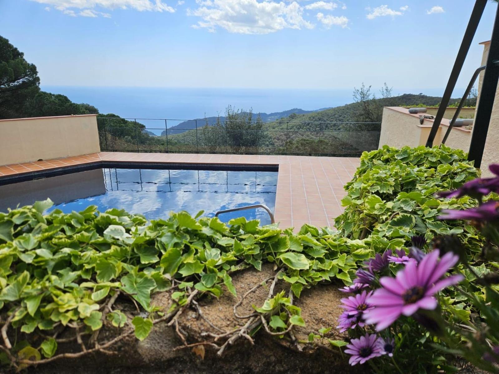 La Roqueta Hotel Tossa de Mar Exteriér fotografie